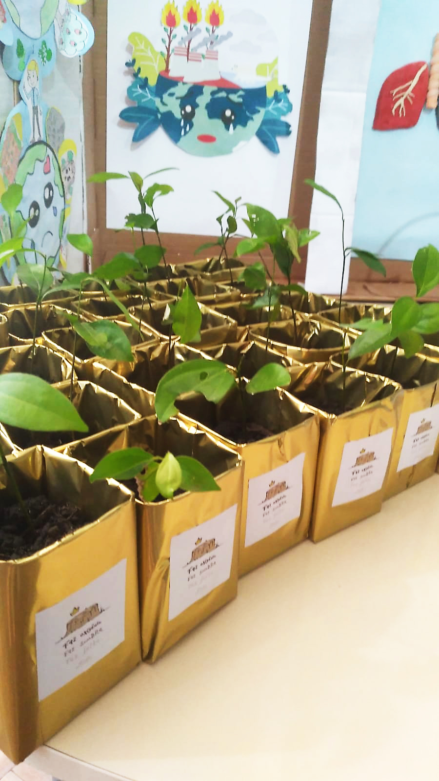 WhatsApp Image 2024-11-23 at 09.22.16 (2).jpeg