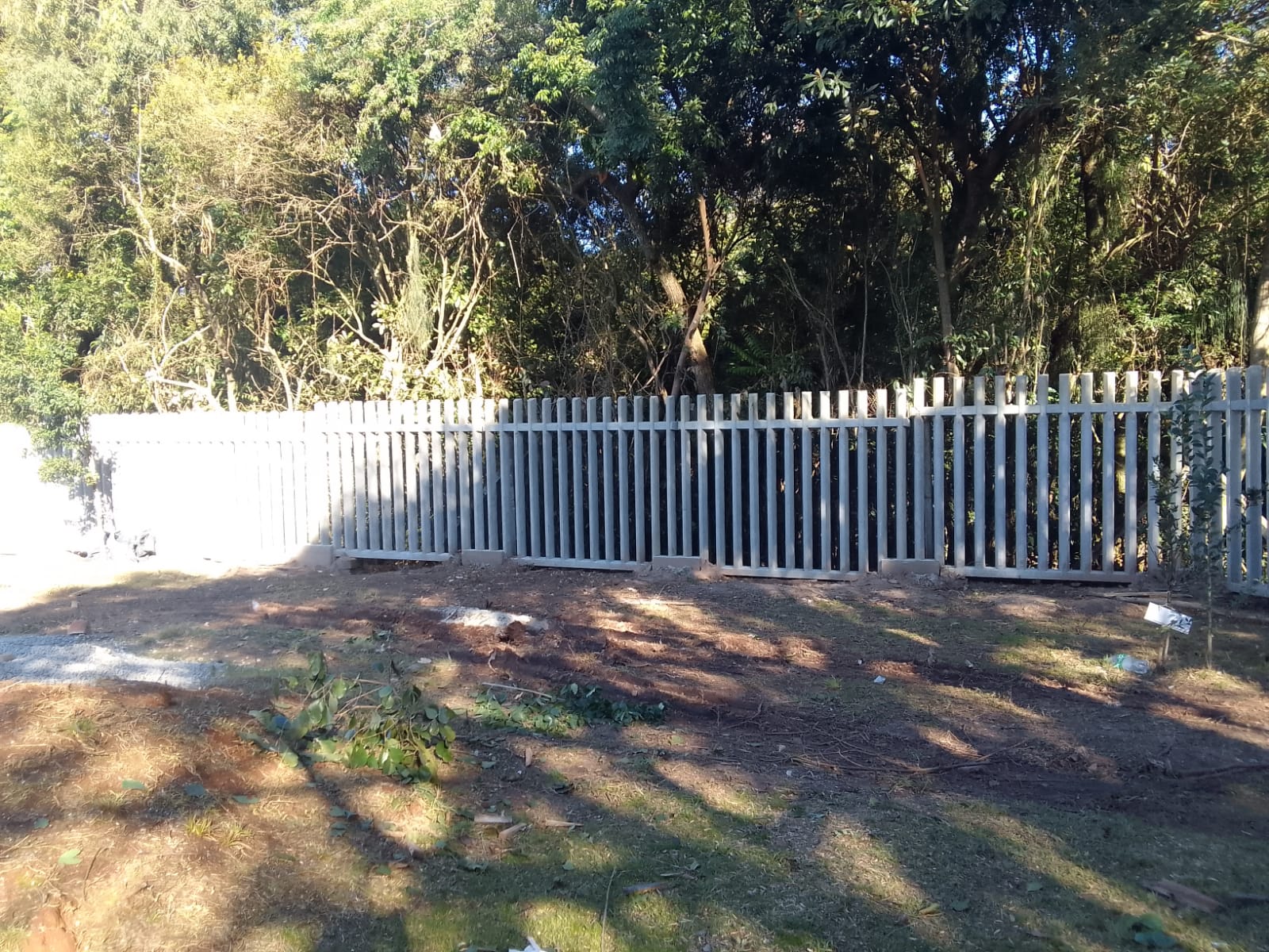 WhatsApp Image 2025-07-28 at 16.18.23.jpeg