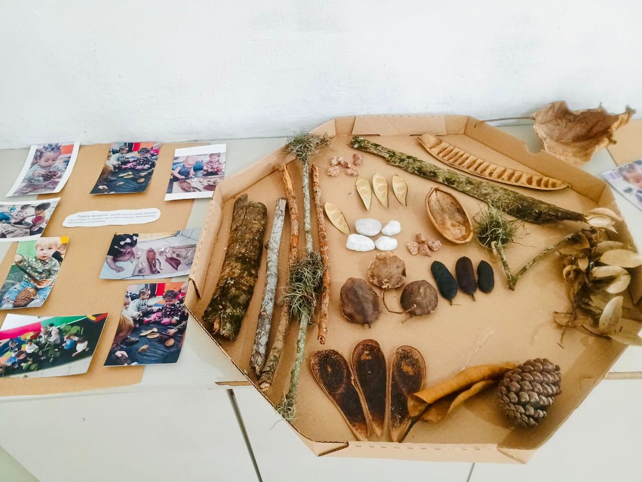 WhatsApp Image 2024-11-11 at 14.34.49.jpeg