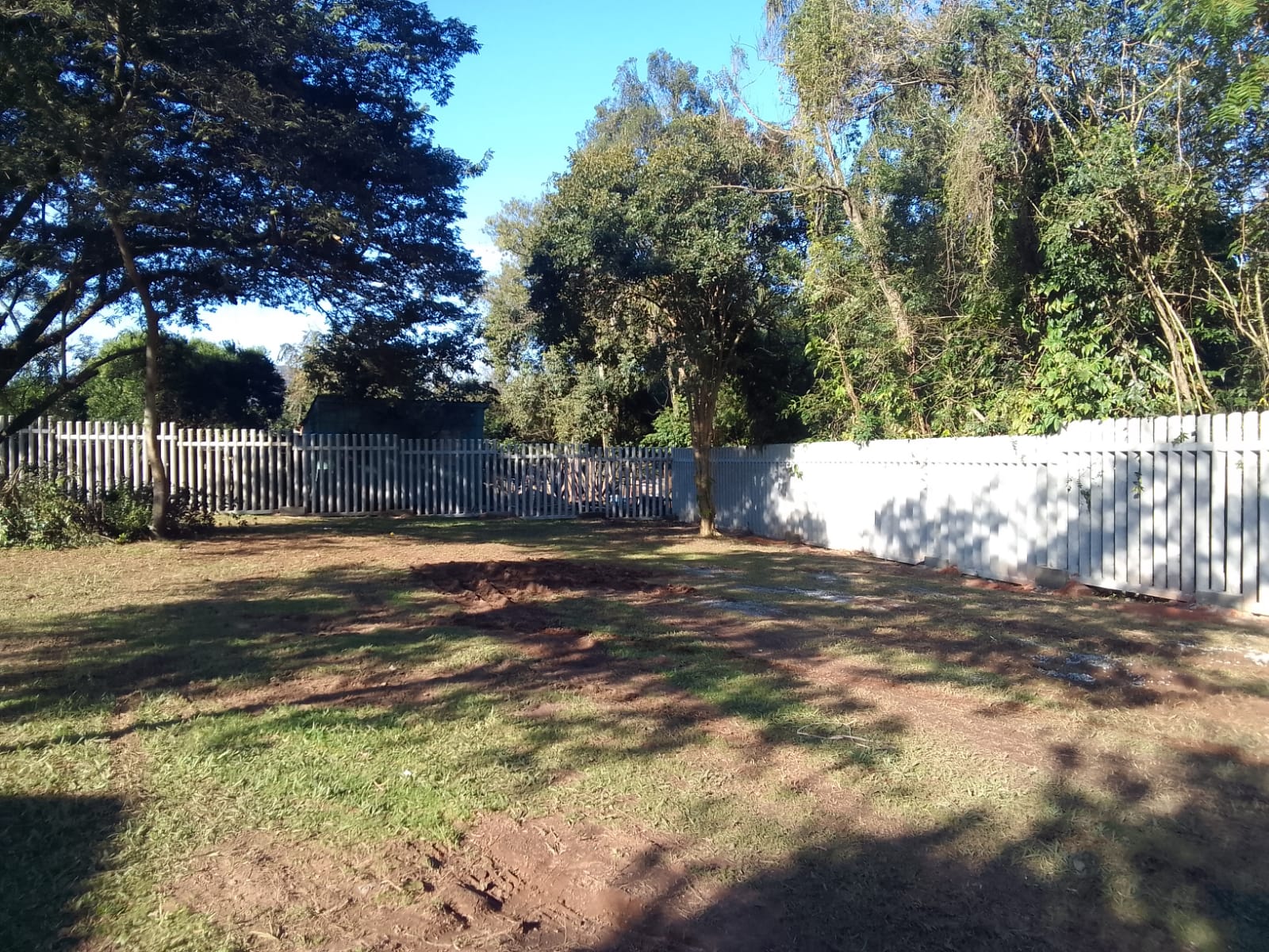 WhatsApp Image 2025-07-28 at 16.19.35.jpeg