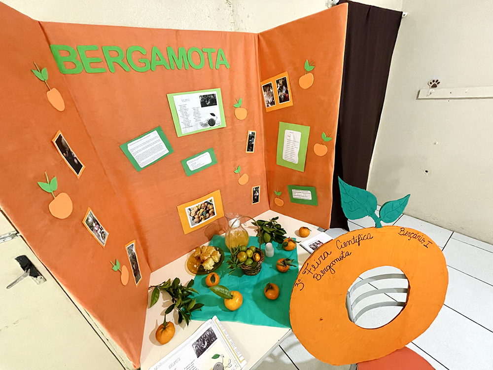 Bergamota montenegrina foi um dos temas apresentados.jpeg
