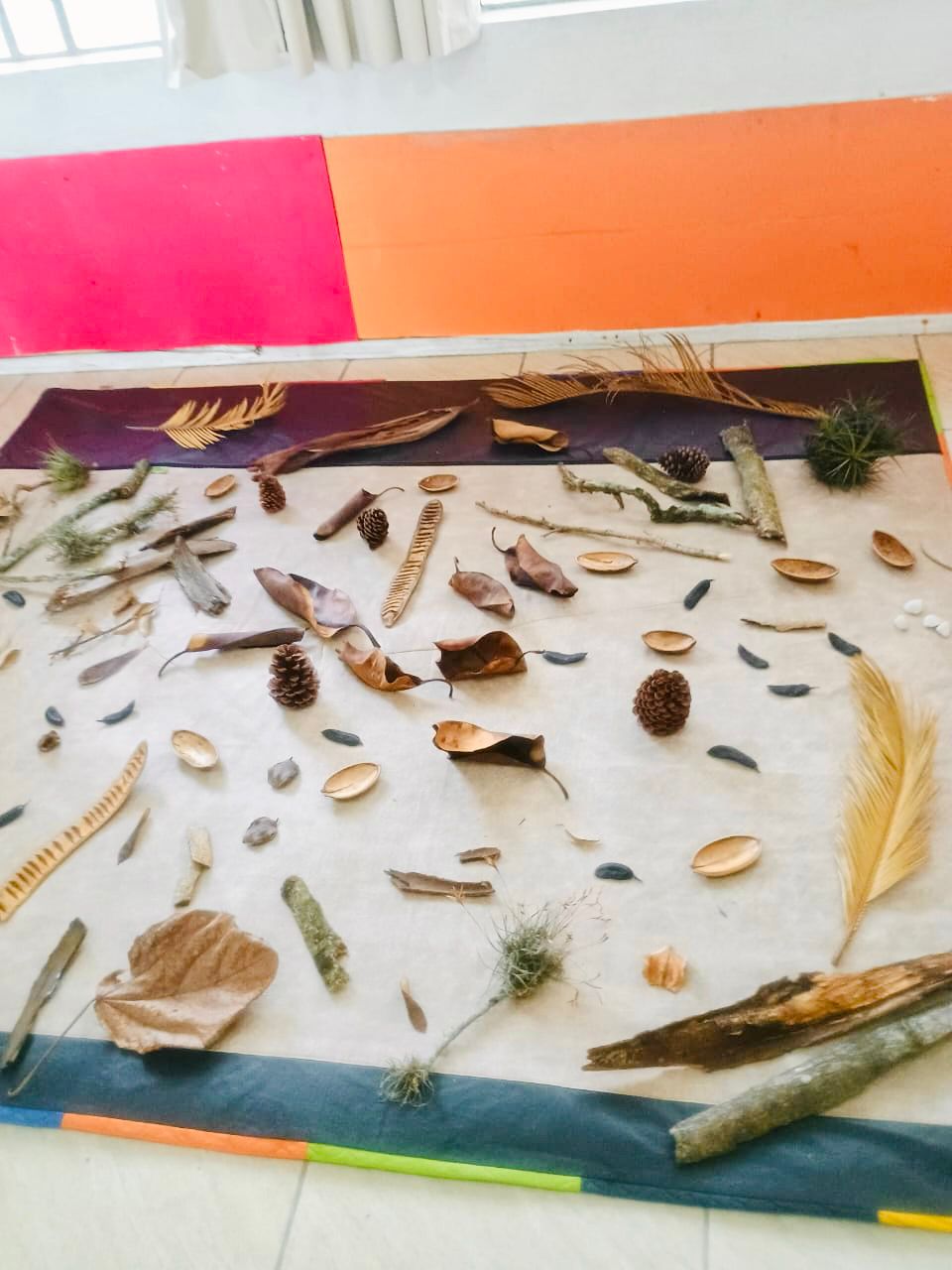 WhatsApp Image 2024-11-11 at 14.34.48 (2).jpeg