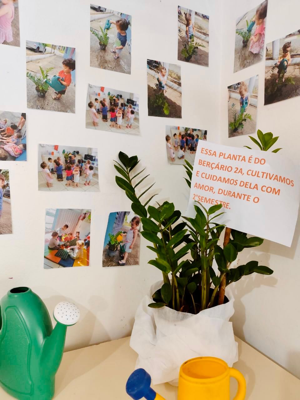 WhatsApp Image 2024-11-11 at 14.34.50 (2).jpeg